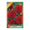 Dália - Dahlia Ball Red Cap