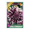 Dália - Dahlia Decorative Tartan