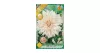 Dália - Dahlia Decorative giantflowering Cafe au Lait
