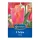 Tulipán triumph Jimmy