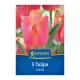 Tulipán triumph Jimmy