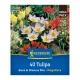 Tulipán Bees&Blooms Mix