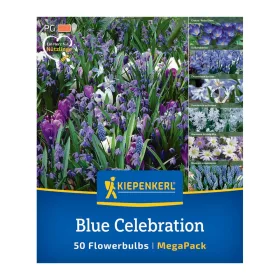 Virághagyma keverék Blue Celebration Mix