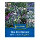 Virághagyma keverék Blue Celebration Mix