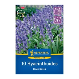 Kékcsengő Blue Bells