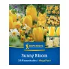 Virághagyma keverék Sunny Bloom Mix