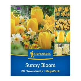Virághagyma keverék Sunny Bloom Mix