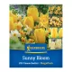 Virághagyma keverék Sunny Bloom Mix