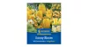 Virághagyma keverék Sunny Bloom Mix