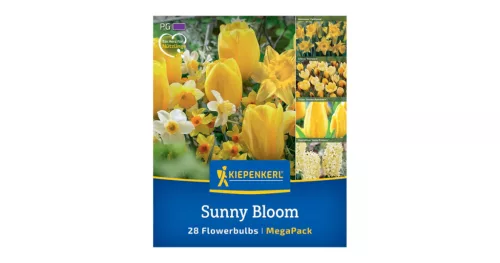 Virághagyma keverék Sunny Bloom Mix