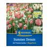 Virághagyma keverék Summer Dream Mix