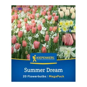 Virághagyma keverék Summer Dream Mix