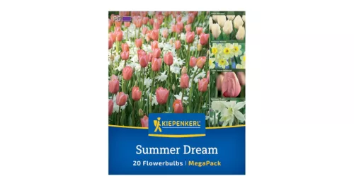 Virághagyma keverék Summer Dream Mix