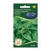 Bazsalikom Genovese