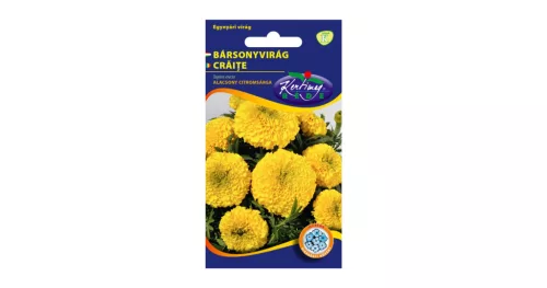 Bársonyvirág alacsony citromsárga