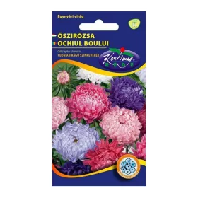 Őszirózsa Peoniavirágú színkeverék