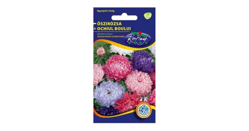 Őszirózsa Peoniavirágú színkeverék