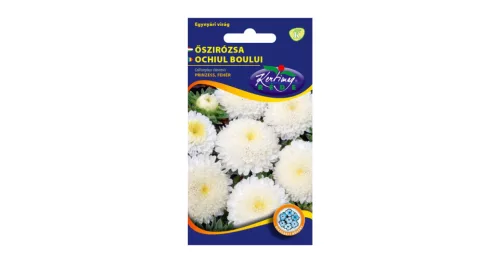 Őszirózsa Peoniavirágú színkeverék
