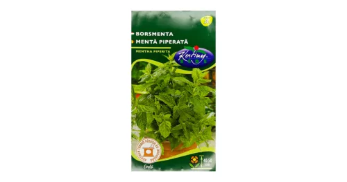 Borsmenta