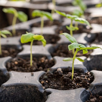 Palántázók, tartozékok