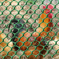 Műanyag hálók, rácsok